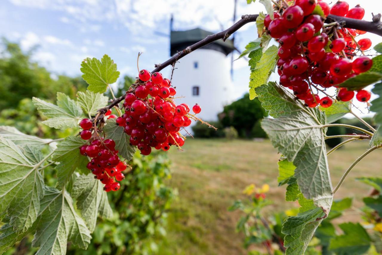 Windmill Vacation Home In Ledzin Near Baltic Sea Нехоже Экстерьер фото