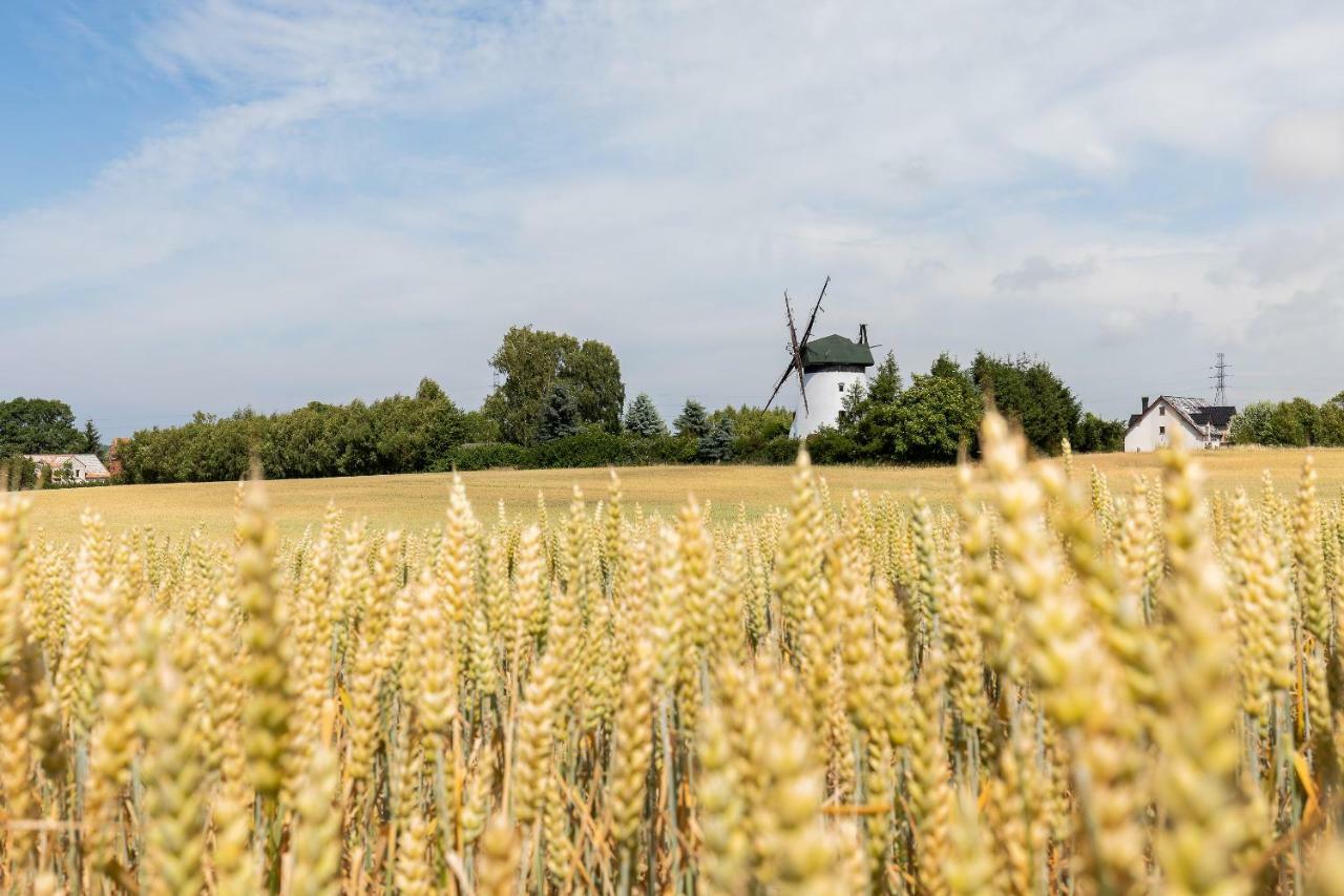 Windmill Vacation Home In Ledzin Near Baltic Sea Нехоже Экстерьер фото