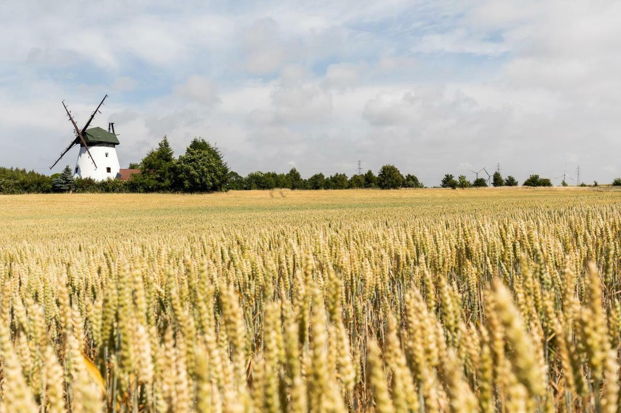 Windmill Vacation Home In Ledzin Near Baltic Sea Нехоже Экстерьер фото